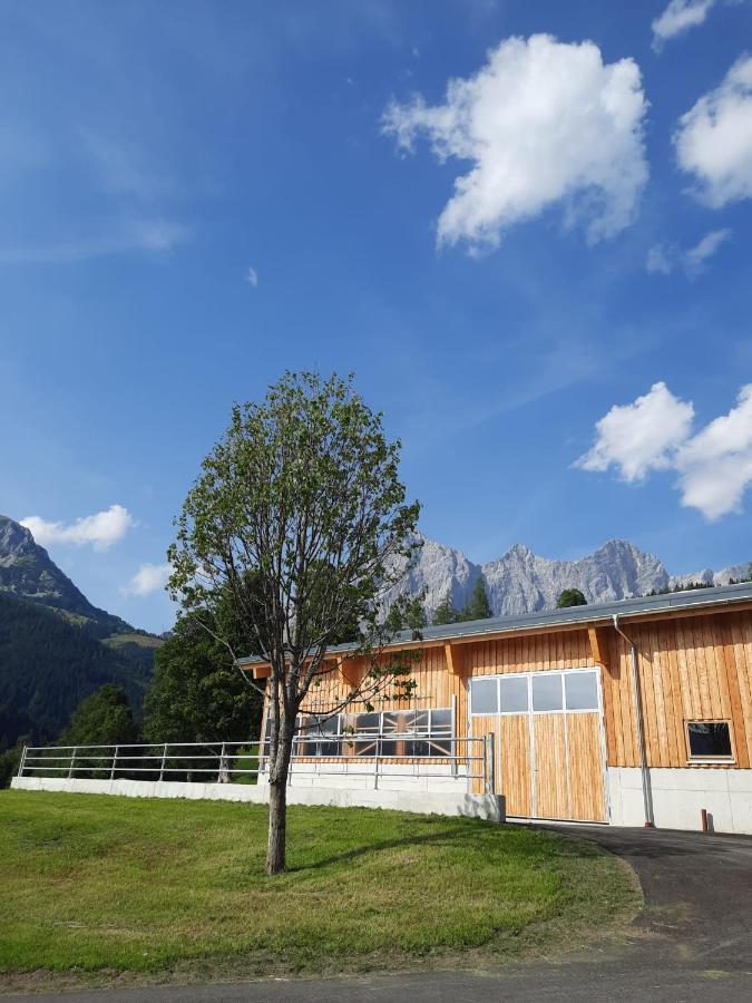 Appartement Muehlebnerhof รัมเซา อัม ดาคชไตน์ ภายนอก รูปภาพ